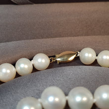 Load image into Gallery viewer, Large Freshwater Pearl Set, 14K Gold clasp
