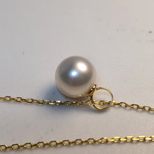 Load image into Gallery viewer, Akoya Pearl & Whale Tail Pendant + Chain, 18K Yellow Gold