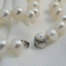 Load image into Gallery viewer, Freshwater Pearl Bracelet, Sterling Silver