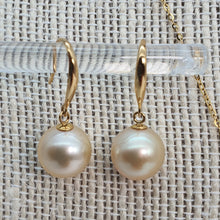 Load image into Gallery viewer, Large Golden South Sea Pearl Earring, Yellow Gold