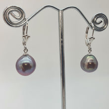 Load image into Gallery viewer, Edison Baroque Pearl Antique Hook Earrings, Sterling Silver