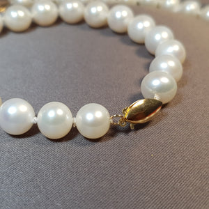 Large Freshwater Pearl Set, 14K Gold clasp