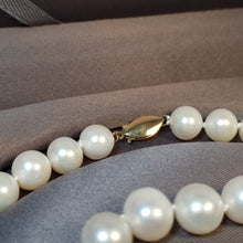 Load image into Gallery viewer, Large Freshwater Pearl Set, 14K Gold clasp
