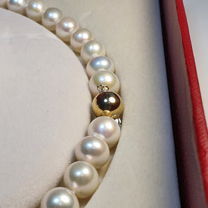 Freshwater cultured Pearl set, 14K Yellow Gold